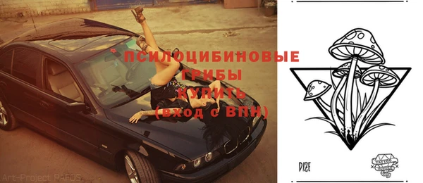 дмт Осташков