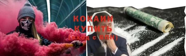 ECSTASY Алзамай